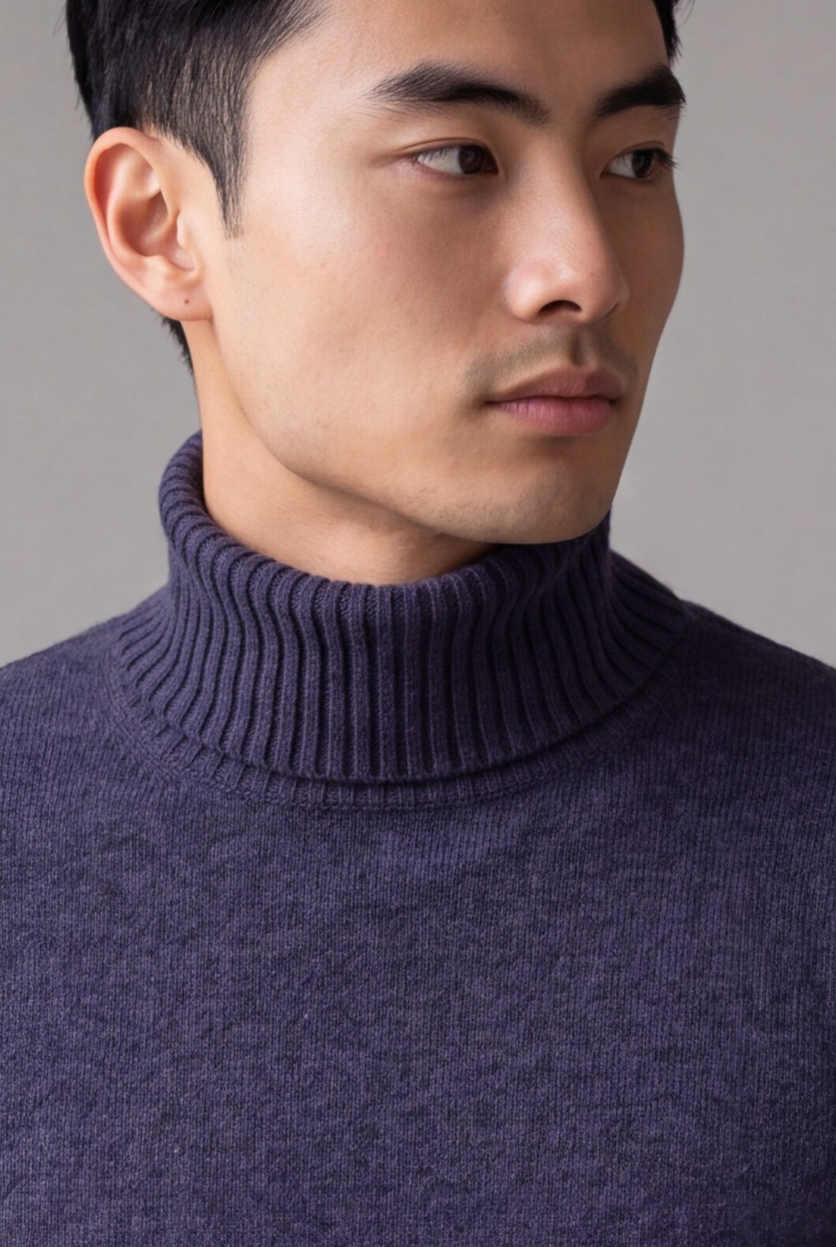 Dolcevita Classic Purple Grey 100% Cashmere