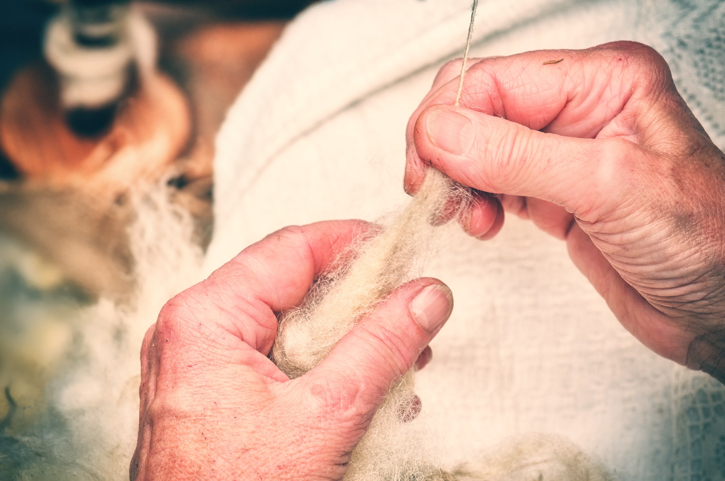 Tutto quello che avreste voluto sapere sul cashmere* (*ma non avete mai osato chiedere)